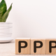 set of blocks with the letter "P" on them lined up against a white background with a plant