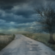 Wide shot of a dark country road with storm clouds and a dead tree