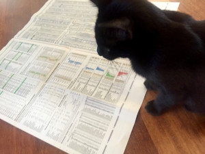 Black cat named truffles looking over charts on the floor